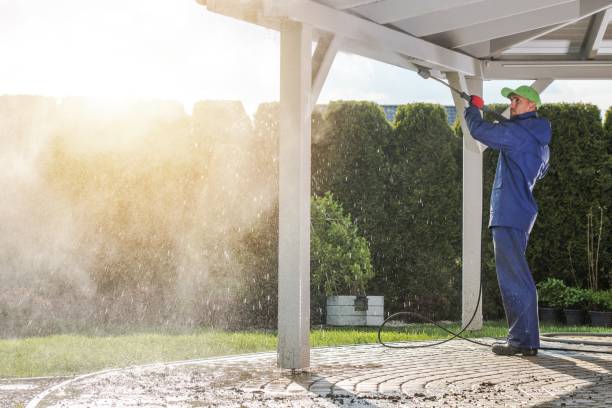 Best House Exterior Washing  in Palmyra, IN