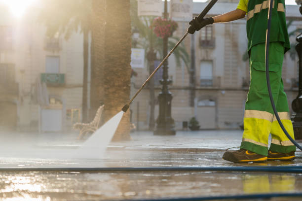 Best Sidewalk and Walkway Cleaning  in Palmyra, IN